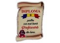 Ecuson placaj (Diploma) 222055