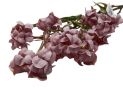 Flori decorative (buchet flori marunte) 58cm (5 culori) FY-603