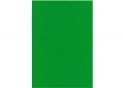 Fetru 20x30cm 180 gr/m2 Verde MX61622-04