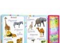 Carte cu sunete A4 Ghicitori(P.D.) PD3783