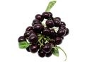 Fruct cirese pe crenguta negre decorative 19cm 6688-5F