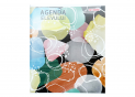 Agenda elevului 48 File BRISK AGPR