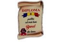 Ecuson placaj (Diploma) 222055