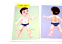 Planse corpul uman (material didactic) PD6572