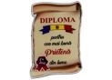 Ecuson placaj (Diploma) 222055