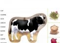 Carte Mapa animale din tinut PD4287