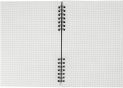 Carnet A5 100foi spira laterala-coperta plastic (cu elastic) E20322