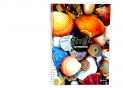 Caiet A4 80foi Nature Drawings (cu spira) O20330