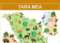 Plansa.Harta fizica a Republicii Moldova+Tara mea 70x100cm EP8
