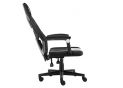 Fotoliu Gaming 1STPLAYER P01/ 120kg/  Moving armrest/ Black/White P01 Black&White