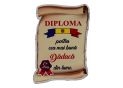 Ecuson placaj (Diploma) 222055