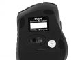 Mouse Wireless SVEN RX425W USB 2.4GHz Nano receiver 800/1200/1600dpi RX425W