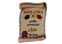 Ecuson placaj (Diploma) 222055