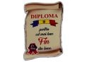 Ecuson placaj (Diploma) 222055