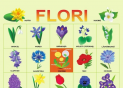 Plansa.Copaci+Flori 70x100cm EP18