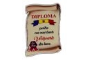 Ecuson placaj (Diploma) 222055