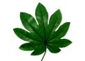 Planta artificiala decorativa 55cm verde FY-y1002