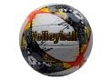 Minge voley 65397