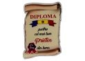 Ecuson placaj (Diploma) 222055