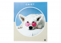 Caiet 48foi Galerie mate C000933