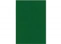 Fetru 20x30cm 180 gr/m2 Verde intens MX61622-49