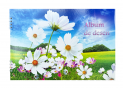 Album pentru desen 20foi spira A4 C000971