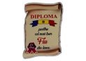 Ecuson placaj (Diploma) 222055
