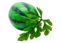 Fruct pepene verde mare decorativ 25x18cm QX2624F