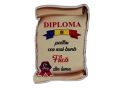 Ecuson placaj (Diploma) 222055