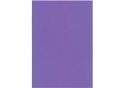 Fetru 20x30cm 180 gr/m2 Violet MX61622-48