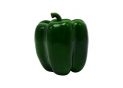 Leguma ardei gras decorativ verde 10x8cm 8886-10