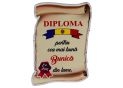 Ecuson placaj (Diploma) 222055