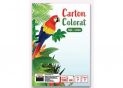 Carton color A4 7coli/7 culori TPR A4-7DF /5 TH674997