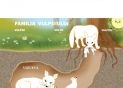Carte Mapa animale salbatice PD4270