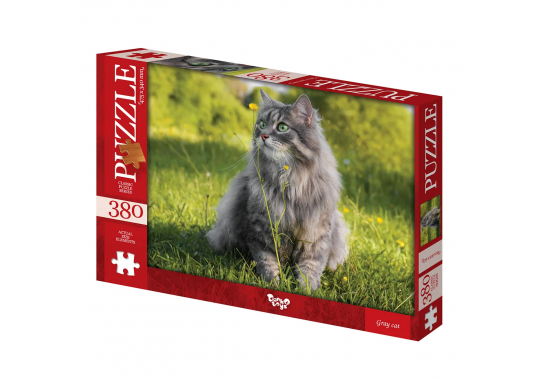 Puzzle  C380-06-03 42418
