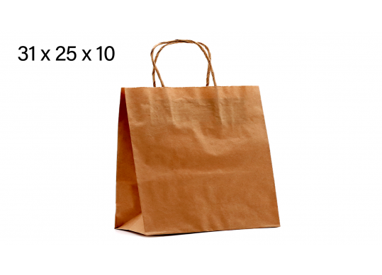 Punga hirtie craft 31*25*10 70gr, cu minere rasucite 3052510craft