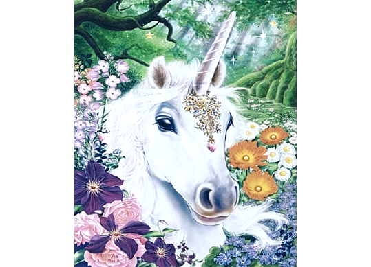 Tablou (40*50/cifre) Unicorn RSB8318