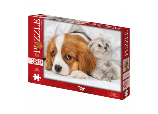 Puzzle  C380-06-01 42416