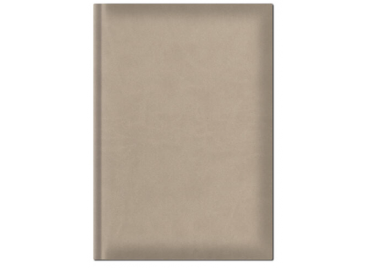 Agenda nedatata B5 de lux H.Ivoire 448HB5