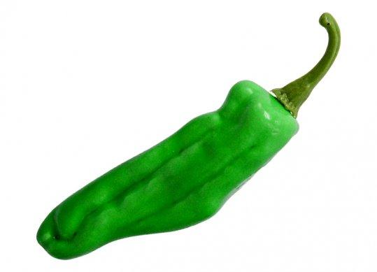 Leguma ardei capia decorativ verde 18.8x4.5cm 8751L