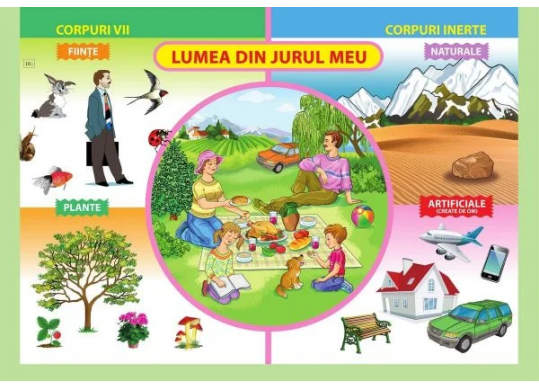 Plansa.Lumea din jurul meu+Medii de viata 70x100cm EP12