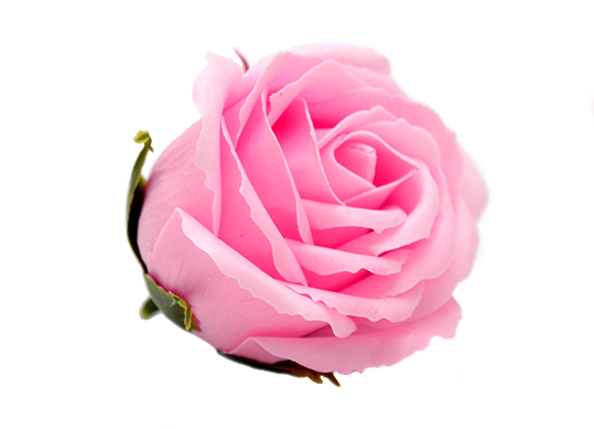 Trandafir parfumat Roz pal (sapun)ML31-3 811601