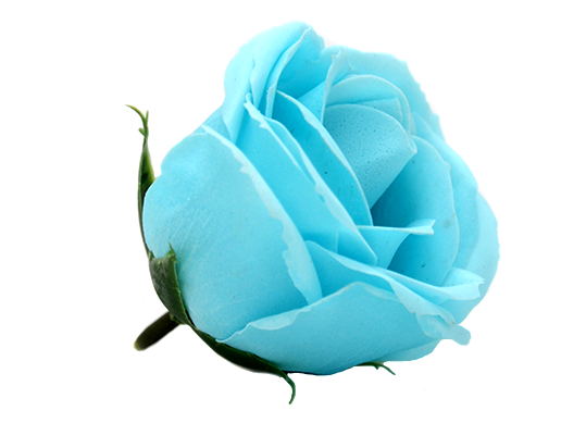 Trandafir parfumat Bleu (sapun)ML31-6 811625