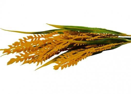 Flori decorative (crenguta Spic) FY-A1570