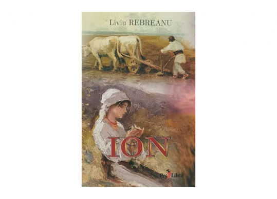 Carte Ion L.Rebreanu PL5011