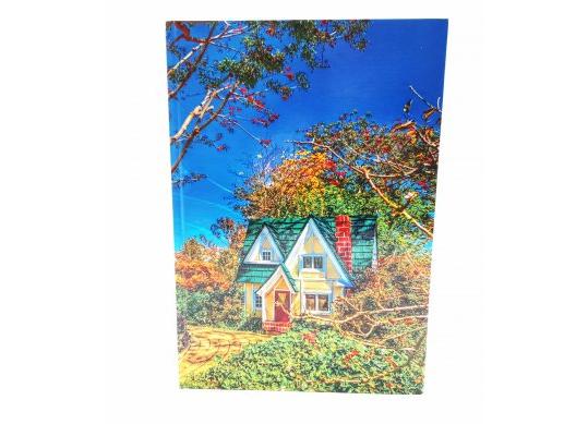 Registru A4 200foi (coperta tare/color) 04 C001114