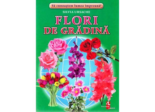Fisa Flori de gradina 107839