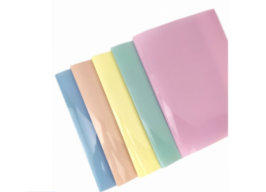 Mapa plastic cu 2 inele Optima O35461