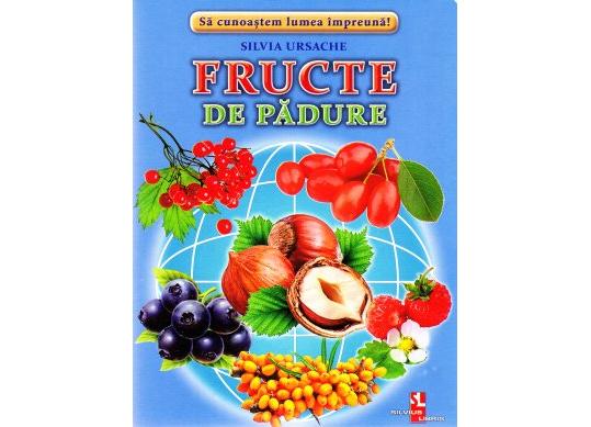 Fisa Fructe de padure 107891