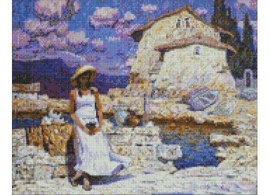 Tablou cu DIAMANTE 40x50 Magazin de suveniruri AMO7407